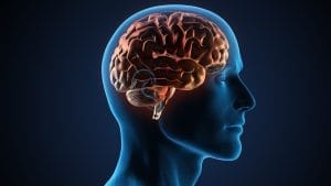 Things to Consider After a Brain Angiography Beyin Anjiyosu Sonrasinda Dikkat Edilmesi Gerekenler