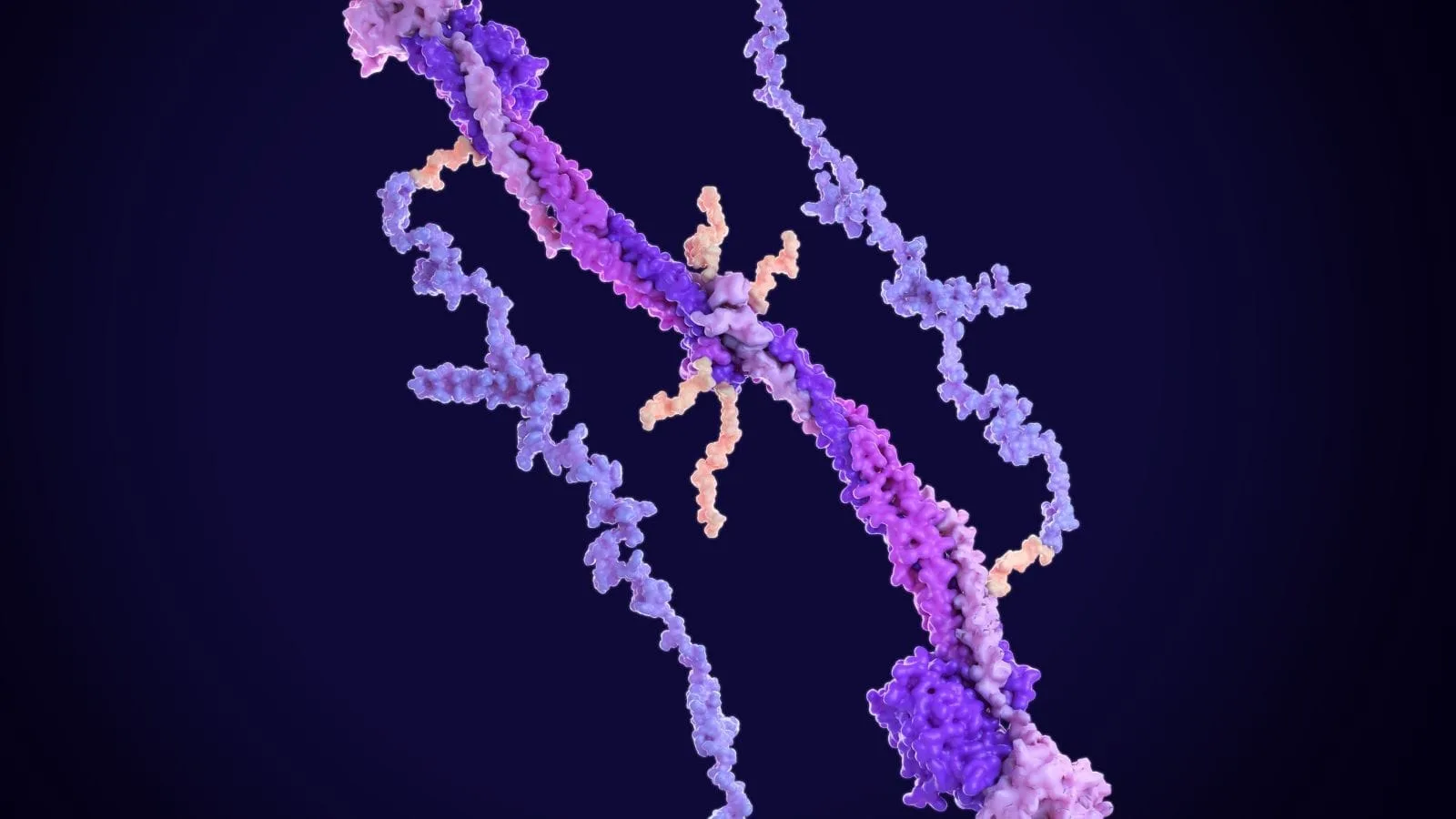Fibrinogen: Normal Range, High and Low Levels, Causes and Symptoms Fibrinojen Nedir Fibrinojen Yuksekligi Neden Olur