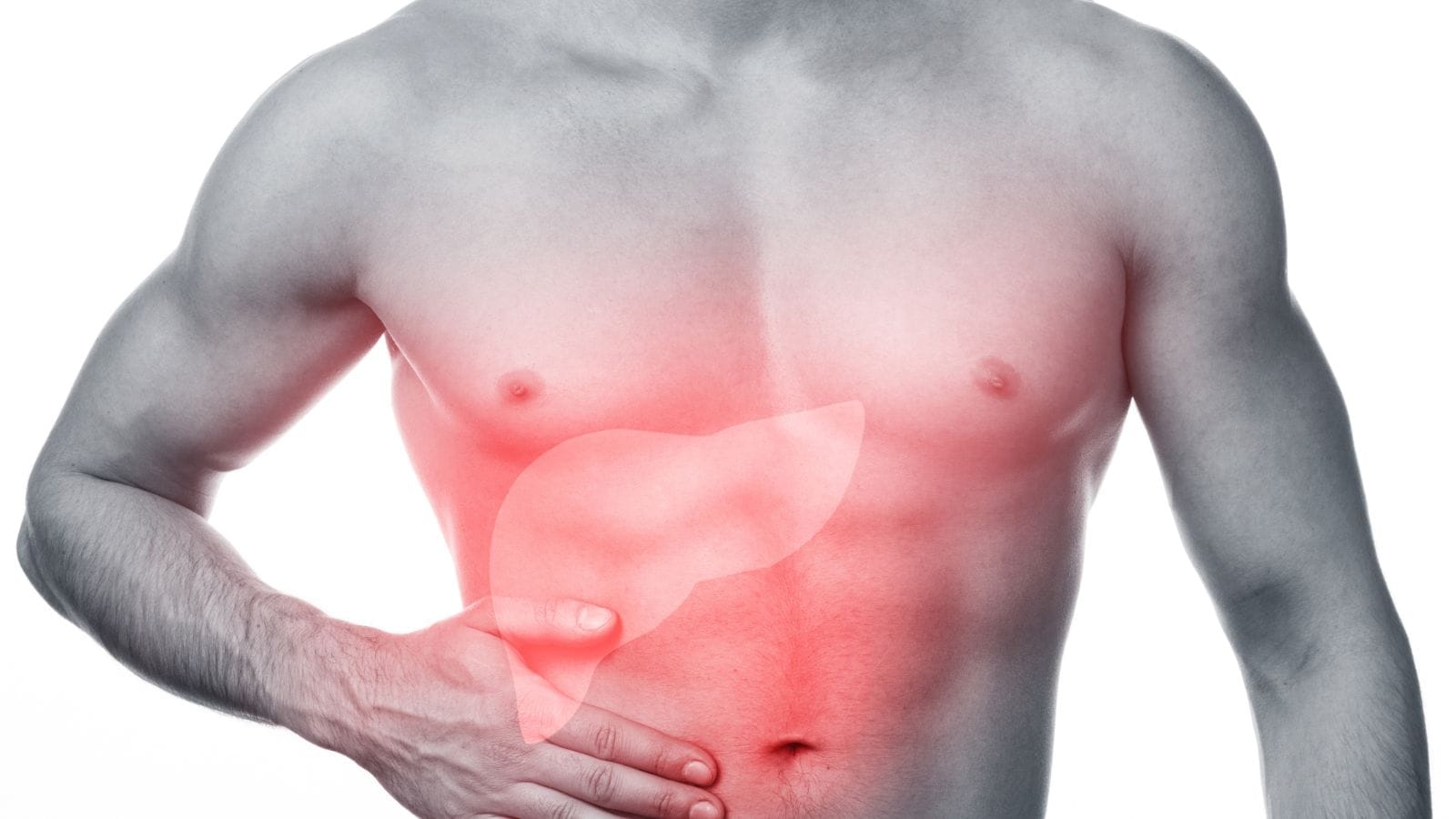 Hepatomegali: Nedenleri, Tanısı ve Tedavisi Hepatomegali Klinikleri Nedenleri Tanisi ve Tedavisi Hepatomegali: Nedenleri, Tanısı ve Tedavisi Hepatomegali Klinikleri Nedenleri Tanisi ve Tedavisi