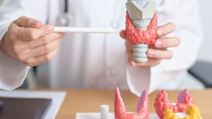 Tiroid Hastalarında Ne Zaman Ameliyat Gerekir? Tiroid Hastalarinda Ne Zaman Ameliyat Gerekir Tiroid Hastalarında Ne Zaman Ameliyat Gerekir? Tiroid Hastalarinda Ne Zaman Ameliyat Gerekir