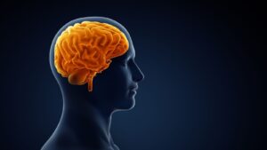 Brain Aneurysm Treatment: Endovascular and Surgical Options Beyin Anevrizmasi Tedavi Yontemleri